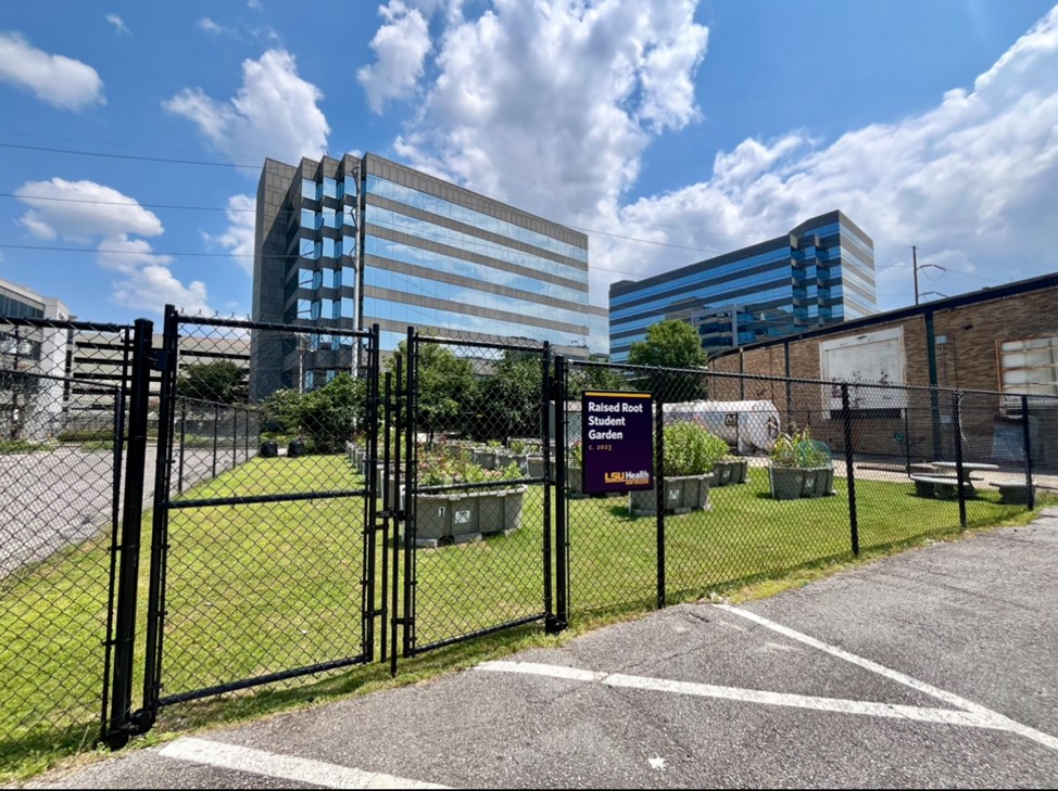 Raised Root Garden Entrance